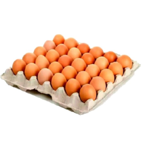 Cartón de Huevos