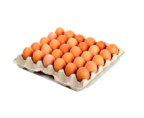 Cartón de Huevos